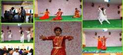 dinhatacollege.ac.in Glimpses